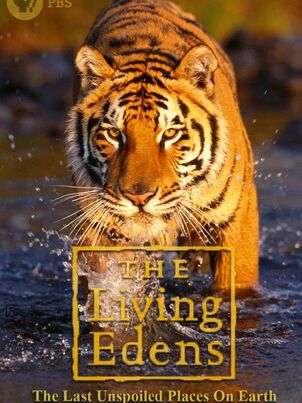 Первозданная природа. Эдем жизни