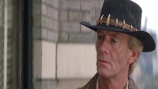 Крокодил Данди 2