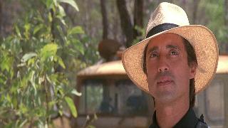 Крокодил Данди 2