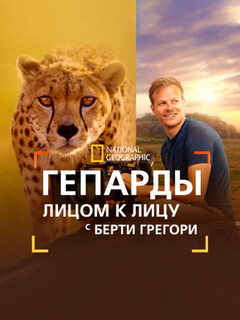 Гепарды: лицом к лицу с Берти Грегори