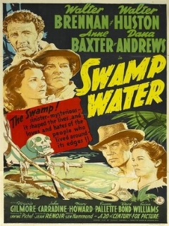 Болотная вода