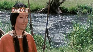 Сыновья Большой Медведицы