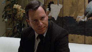 Подставное тело