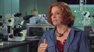 Аватар: Создание мира Пандоры