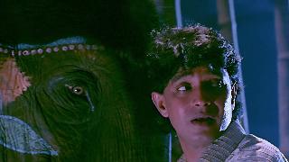 По закону джунглей