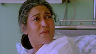 По закону джунглей