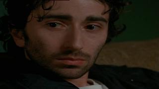 Четыре собаки в игре в покер