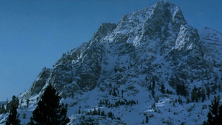 Царь скорпионов