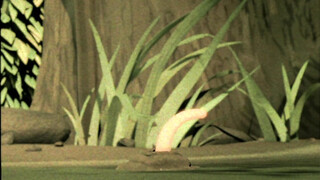 Ослепительный Барри и червяки диско