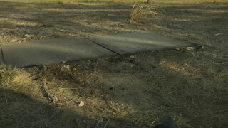 Опасный свидетель