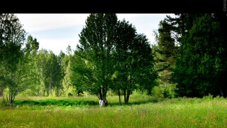 Виктория: История любви