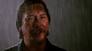 Кровавый кулак