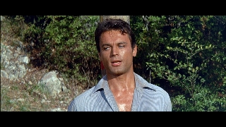 Верная Рука – друг индейцев