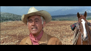 Верная Рука – друг индейцев