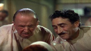 Звезда родилась