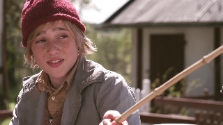 Чудесное путешествие Нильса с дикими гусями