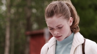 Чудесное путешествие Нильса с дикими гусями