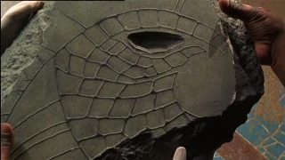 Звездные врата - 3 сезон - 5 серия