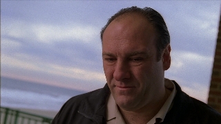 Сопрано - 2 сезон - 13 серия