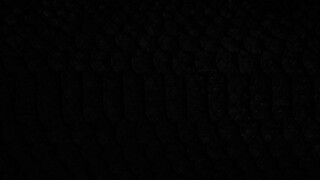 Пробуждающая совесть 2: Дар змеи