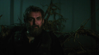 Пробуждающая совесть 2: Дар змеи