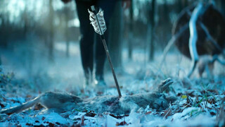 Стокгольмская кровавая баня