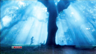 Предполагаемый убийца