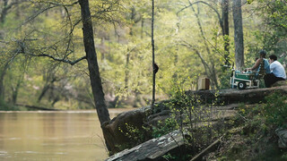 Отчаянный ход