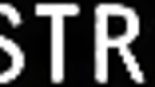 Верный друг