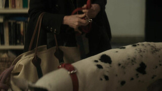 Верный друг