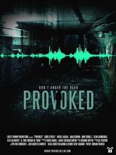 Provoked (Любительский (многоголосый закадровый) (Синема УС))